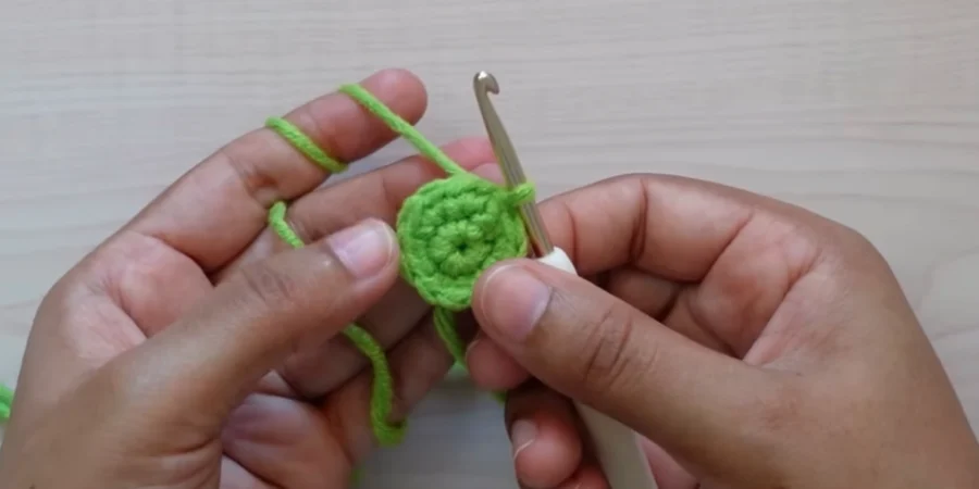 Crochet sunflower center after round 2 with evenly spaced single crochet increases