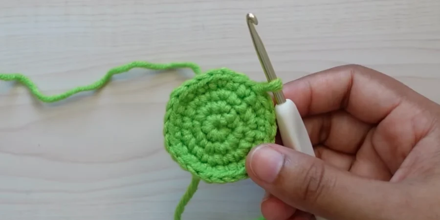 Green crochet sunflower center showing four completed rounds of single crochet stitches